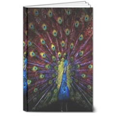 Peacock Feathers 8  X 10  Hardcover Notebook