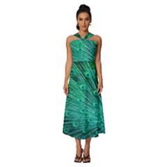 Green And Blue Peafowl Peacock Animal Color Brightly Colored Sleeveless Cross Front Cocktail Midi Chiffon Dress by uniart180623