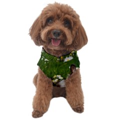 Rabbit Dog Sweater by artworkshop