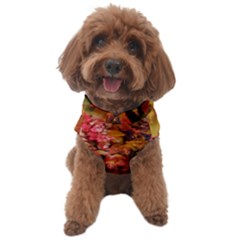 Red And Yellow Ivy  Dog Sweater by okhismakingart