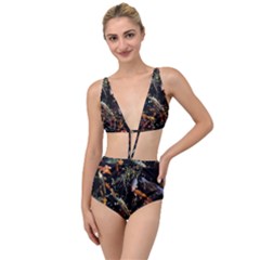 Shoal Of Koi Fish Water Underwater Tied Up Two Piece Swimsuit