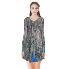 Peacock-feathers1 Long Sleeve V-neck Flare Dress