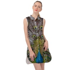 Peacock-feathers2 Sleeveless Shirt Dress