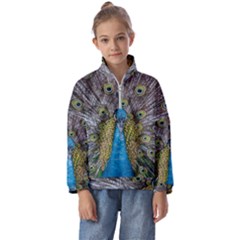 Peacock-feathers2 Kids  Half Zip Hoodie