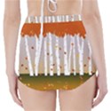 Birch Trees Fall Autumn Leaves High-Waisted Bikini Bottoms View2