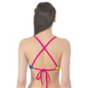 Origami Dinosaur Colorful Tank Bikini Top View2