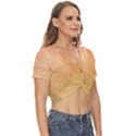 Leaves Patterns Colorful Leaf Pattern Twist Front Crop Top View3