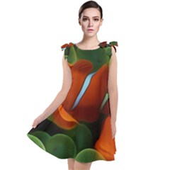 Fish Tie Up Tunic Dress