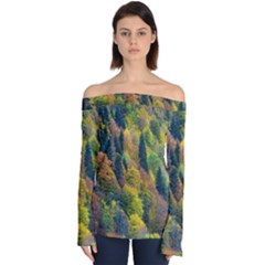 Forest Trees Leaves Fall Autumn Nature Sunshine Off Shoulder Long Sleeve Top by Ravend