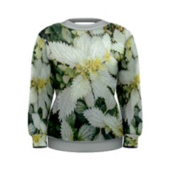 Enchanting Foliage Sharp Edged Leaves In Pale Yellow And Silver Bk Women s Sweatshirt by dflcprintsclothing