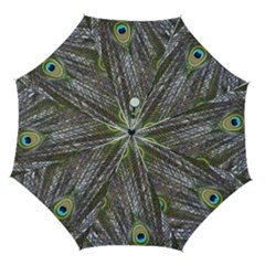 Peacock Bird Feathers Plumage Peacock Automatic Folding Umbrella With Case (medium) by Perong