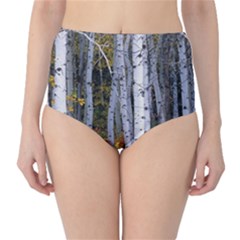 White Birch Trees Autumn Classic High-waist Bikini Bottoms