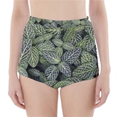 Leaves Foliage Botany Plant High-waisted Bikini Bottoms by Maspions