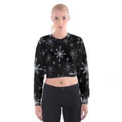 The Most Beautiful Stars Cropped Sweatshirt by ConteMonfrey