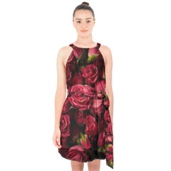 Floral Buds Of Roses Beautiful Flowers Halter Collar Waist Tie Chiffon Dress