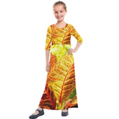 Leaves Plant Pattern Croton Nature Kids  Quarter Sleeve Maxi Dress