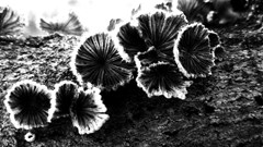 20190202 153515 04