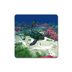 Sea Turtle Magnet (square) by gatterwe