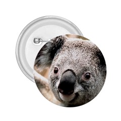Koala 2 25  Button