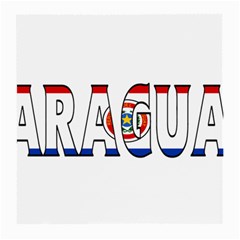 Paraguay Glasses Cloth (medium)