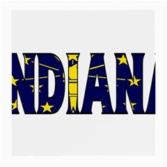 Indiana Glasses Cloth (medium)