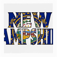 New Hampshire Glasses Cloth (medium)