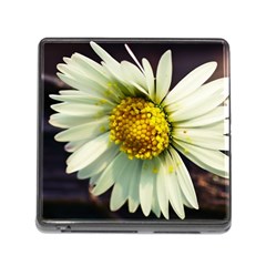 Daisy Memory Card Reader With Storage (square) by Siebenhuehner