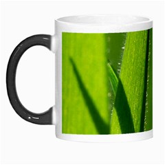 Grass Morph Mug by Siebenhuehner