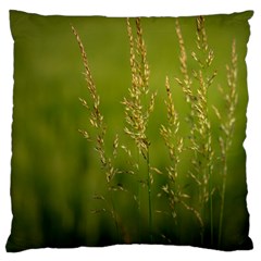Grass Large Cushion Case (single Sided)  by Siebenhuehner