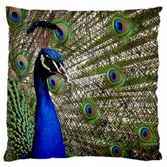 Peacock Large Cushion Case (two Sided)  by Siebenhuehner