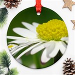 Daisy With Drops Round Ornament (Two Sides) Back