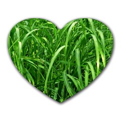 Grass Mouse Pad (heart) by Siebenhuehner