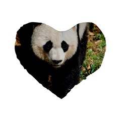 Giant Panda 16  Premium Heart Shape Cushion  by AnimalLover
