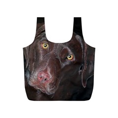 Inquisitive Chocolate Lab Reusable Bag (s)