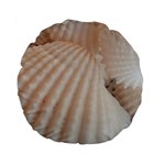 Sunny White Seashells Standard 15  Premium Round Cushion  Back