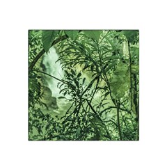 Jungle View At Iguazu National Park Satin Bandana Scarf by dflcprints