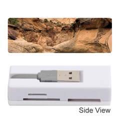 Capital Reefs Memory Card Reader (stick)  by trendistuff