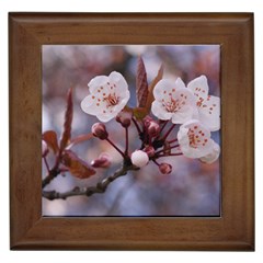 Cherry Blossoms Framed Tiles by trendistuff