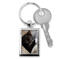 Pretty Blue-eyed Kitty Key Chains (rectangle)  by trendistuff