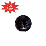 KITTY IN A CORNER 1  Mini Buttons (100 pack)  Front