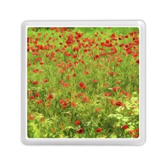 Poppy Vii Memory Card Reader (square)  by colorfulartwork
