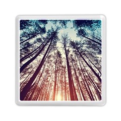 Up View Forest Memory Card Reader (square)  by Brittlevirginclothing