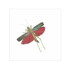 Grasshopper Insect Animal Isolated Small Satin Scarf (square)