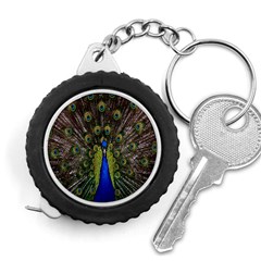Bird Peacock Display Full Elegant Plumage Measuring Tapes by Amaryn4rt