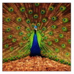 3d Peacock Bird Large Satin Scarf (square)