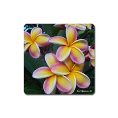 Premier Mix Flower Square Magnet by alohaA