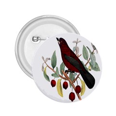 Bird On Branch Illustration 2 25  Buttons by Amaryn4rt