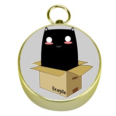 Black Cat In A Box Gold Compasses by Catifornia