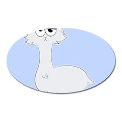 Grumpy Persian Cat Llama Oval Magnet by Catifornia