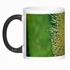 Bird Hairstyle Animals Sexy Beauty Morph Mugs by Mariart